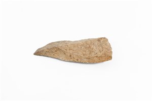 Image description is not available for 2010.3.18